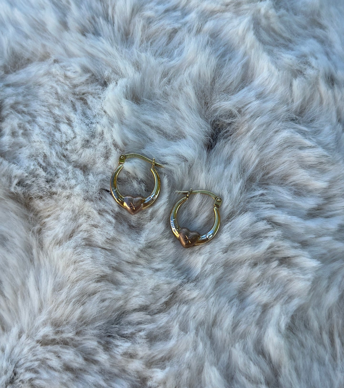 Heart Hoop Earrings
